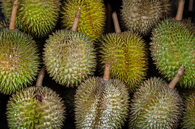Fruit_164438
